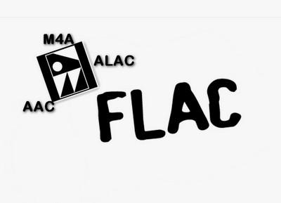 M4A VS FLAC: どちらかを選択してください