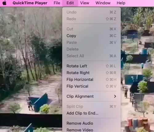 QuickTime を使用して MOV を変換する